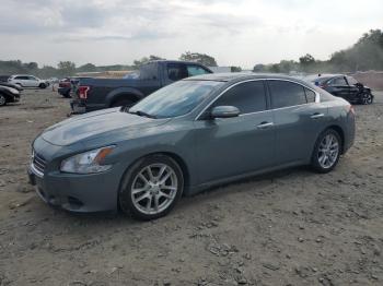  Salvage Nissan Maxima
