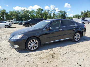  Salvage Lexus Es
