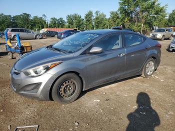  Salvage Hyundai ELANTRA