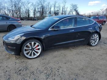 Salvage Tesla Model 3