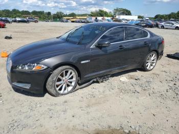  Salvage Jaguar XF