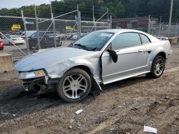  Salvage Ford Mustang