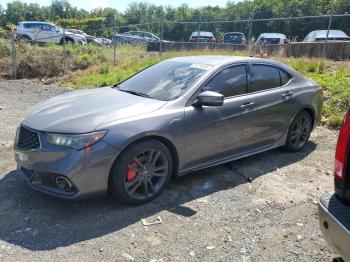  Salvage Acura TLX