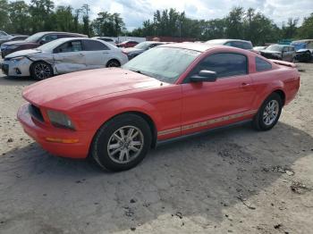  Salvage Ford Mustang
