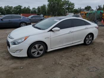  Salvage Hyundai SONATA