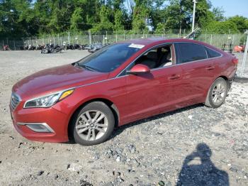  Salvage Hyundai SONATA