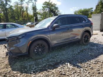  Salvage Honda Crv