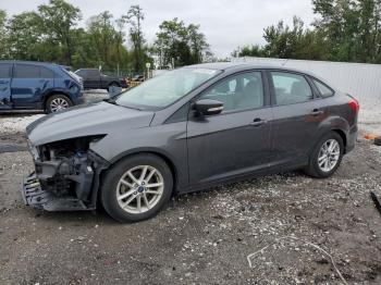  Salvage Ford Focus