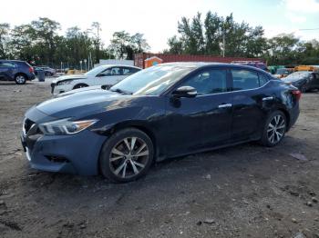  Salvage Nissan Maxima