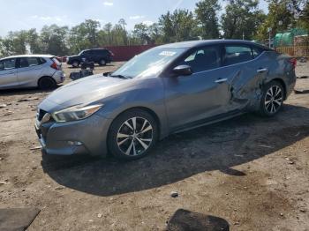  Salvage Nissan Maxima