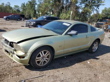  Salvage Ford Mustang