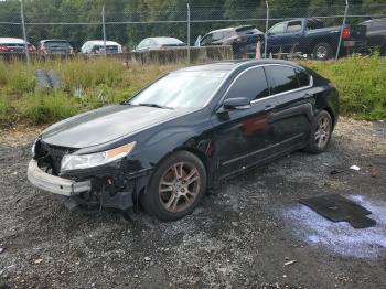  Salvage Acura TL