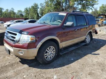  Salvage Ford Expedition
