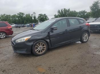  Salvage Ford Focus