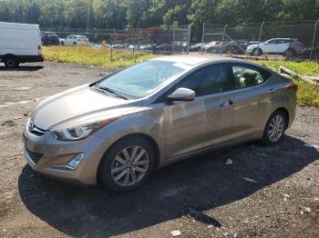  Salvage Hyundai ELANTRA