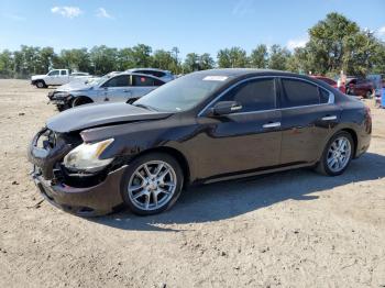  Salvage Nissan Maxima