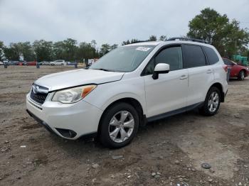  Salvage Subaru Forester