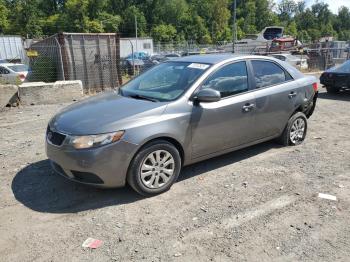  Salvage Kia Forte