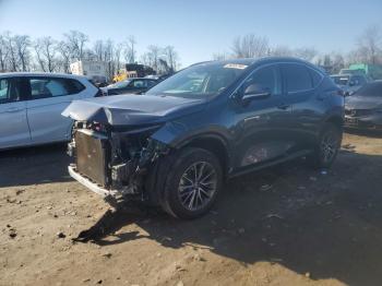  Salvage Lexus NX