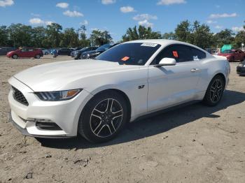  Salvage Ford Mustang