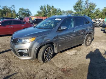  Salvage Kia Sorento
