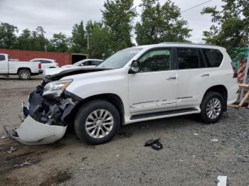  Salvage Lexus Gx