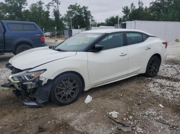  Salvage Nissan Maxima