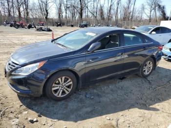  Salvage Hyundai SONATA