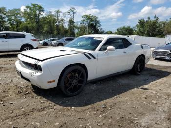  Salvage Dodge Challenger