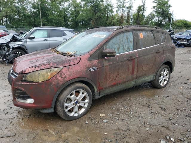  Salvage Ford Escape