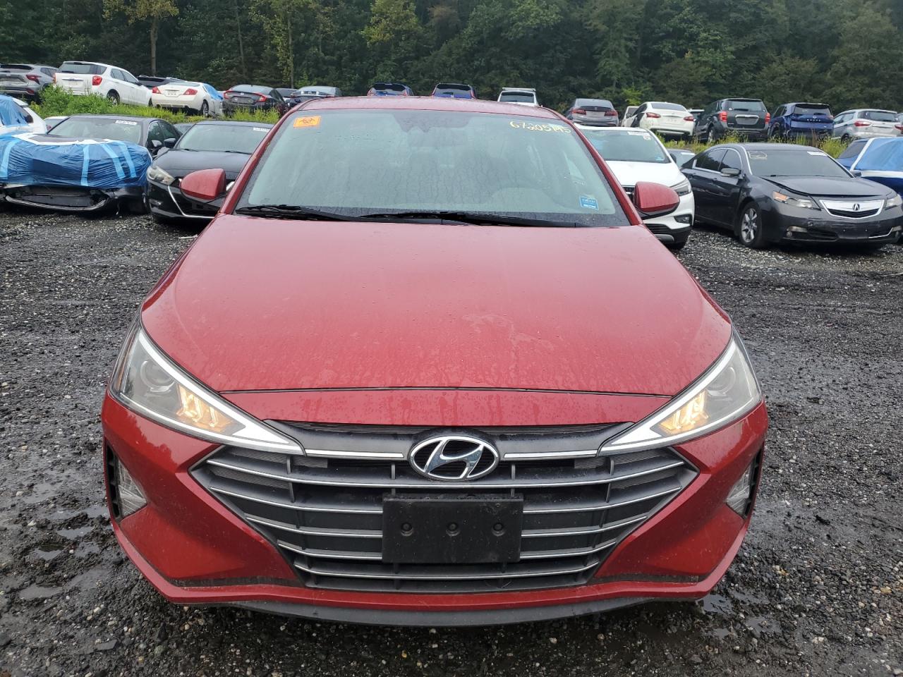 Hyundai ELANTRA Sel Image 9