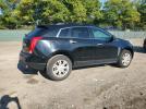 Cadi SRX Image 12
