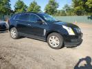 Cadi SRX Image 9