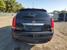 Cadi SRX Image 4