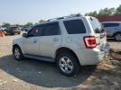 Ford Escape Limited Image 3