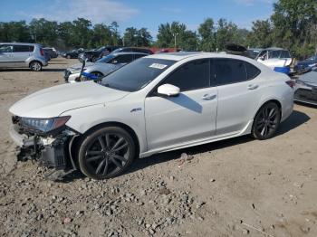  Salvage Acura TLX