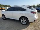 Lexus RX 350 Base Image 7