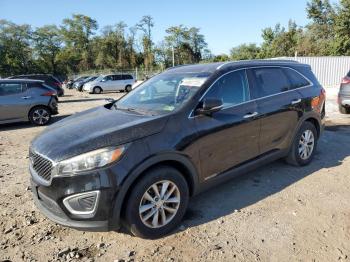  Salvage Kia Sorento