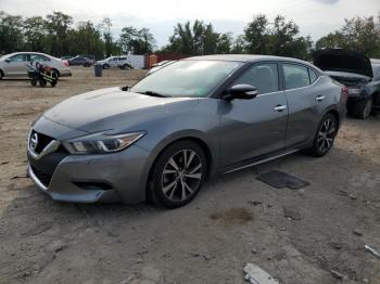  Salvage Nissan Maxima