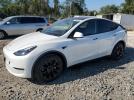 Tesla Model Y Image 1