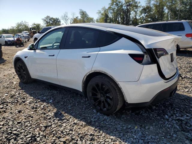 Tesla Model Y Image 5