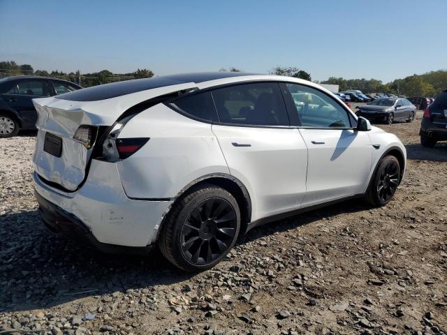 Tesla Model Y Image 3