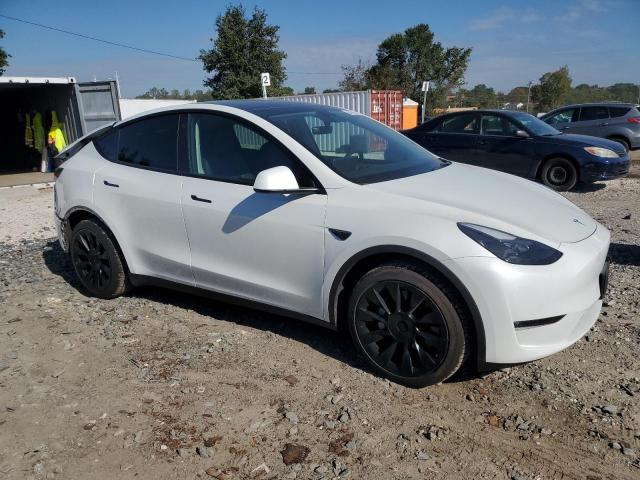 Tesla Model Y Image 4