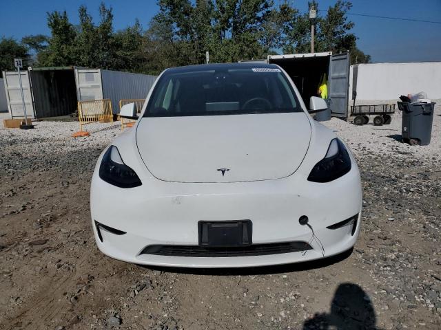 Tesla Model Y Image 6