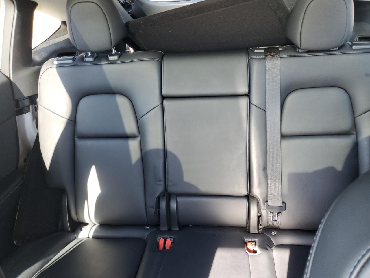 Tesla Model Y Image 13