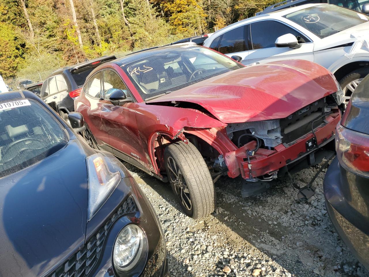 Ford Mustang Premium Image 4