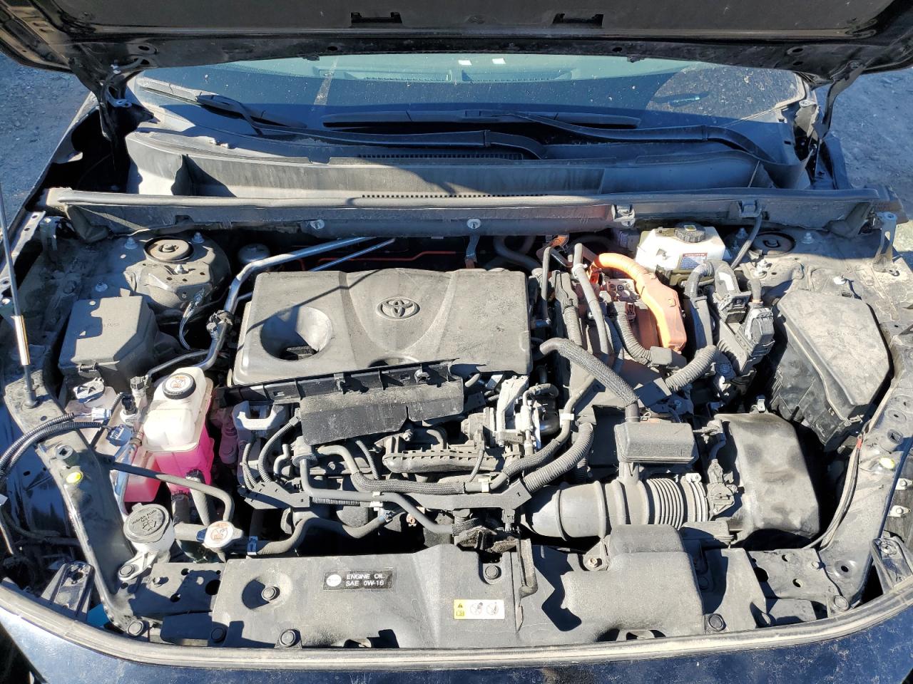 Toyota RAV4 Xle Premium Image 3