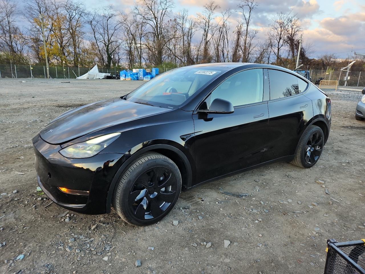 Tesla Model Y Image 1