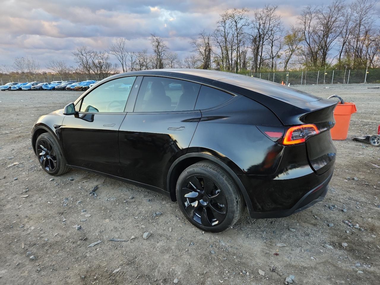 Tesla Model Y Image 2