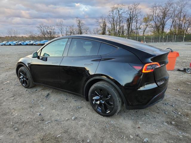 Tesla Model Y Image 2